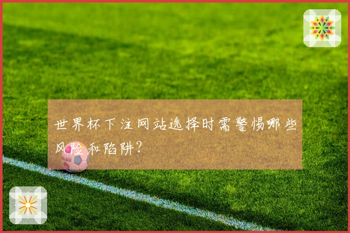 世界杯下注网站选择时需警惕哪些风险和陷阱?