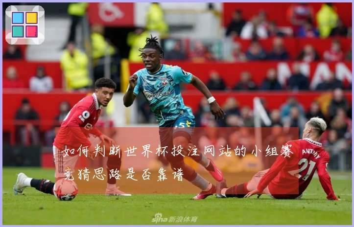 如何判断世界杯投注网站的小组赛竞猜思路是否靠谱