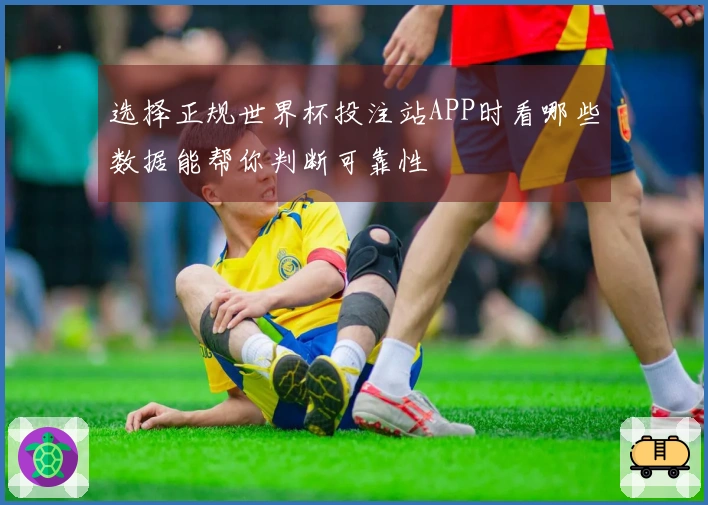 选择正规世界杯投注站APP时看哪些数据能帮你判断可靠性