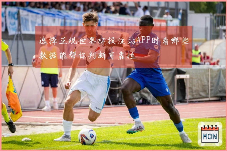 选择正规世界杯投注站APP时看哪些数据能帮你判断可靠性